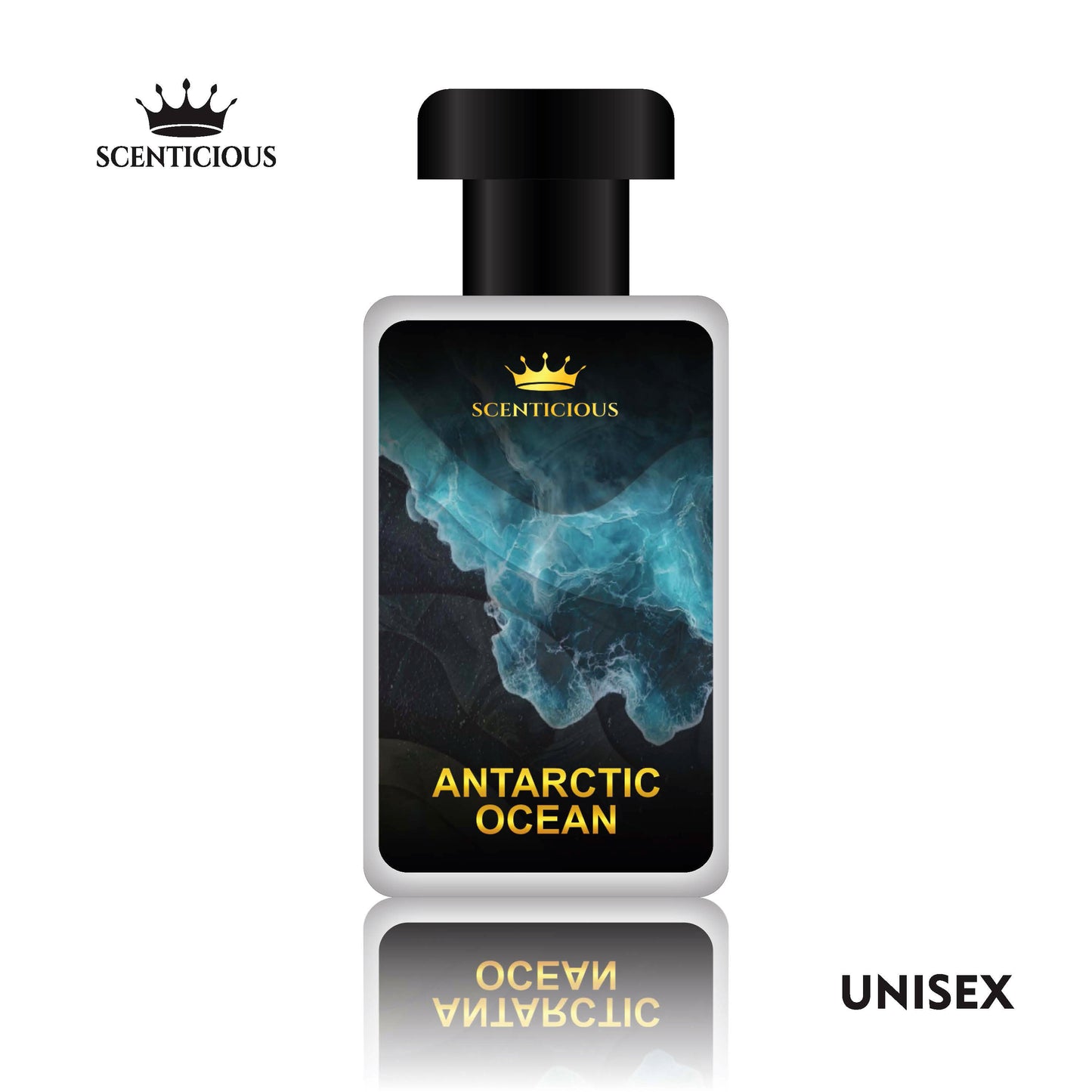 ANTARCTIC OCEAN