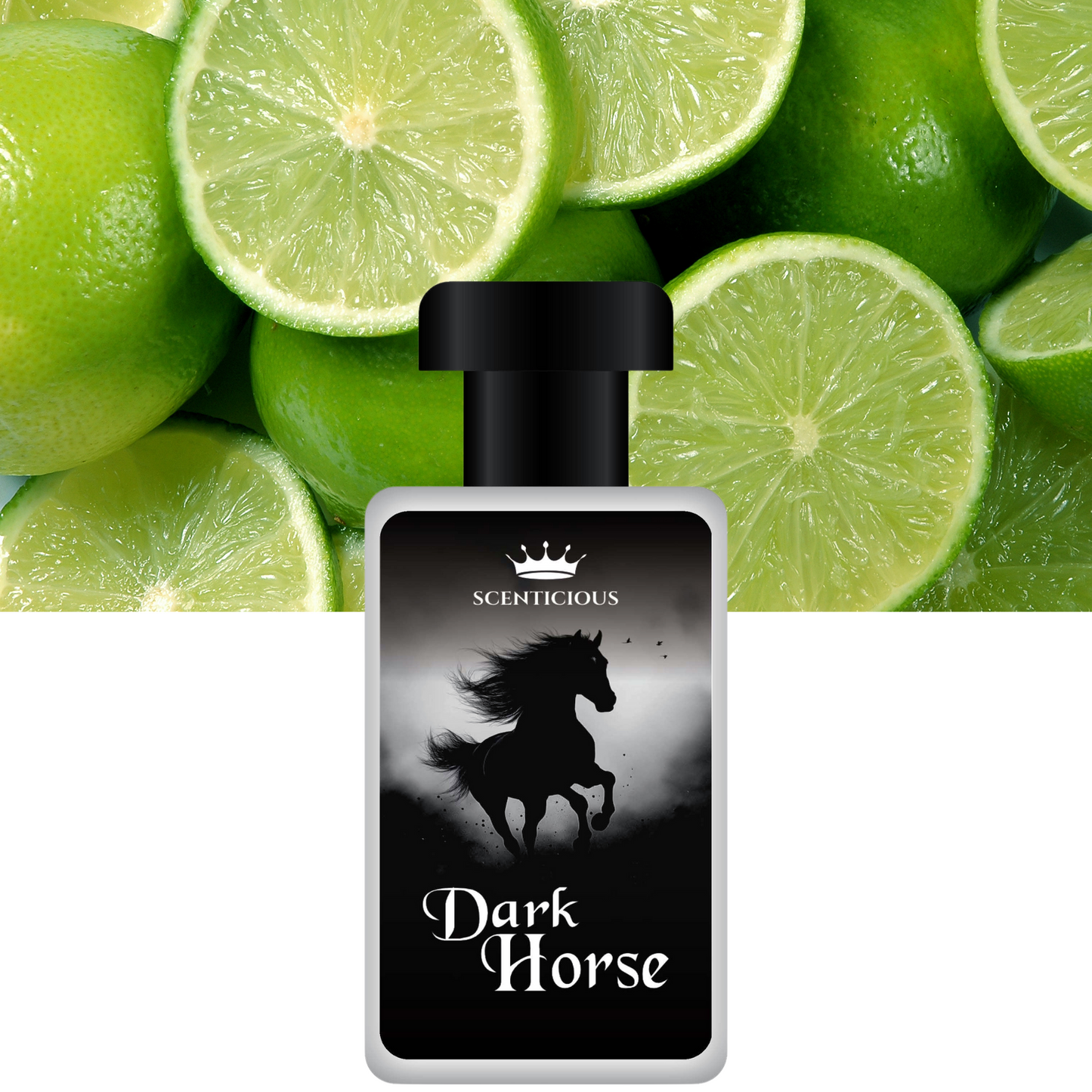 DARK HORSE
