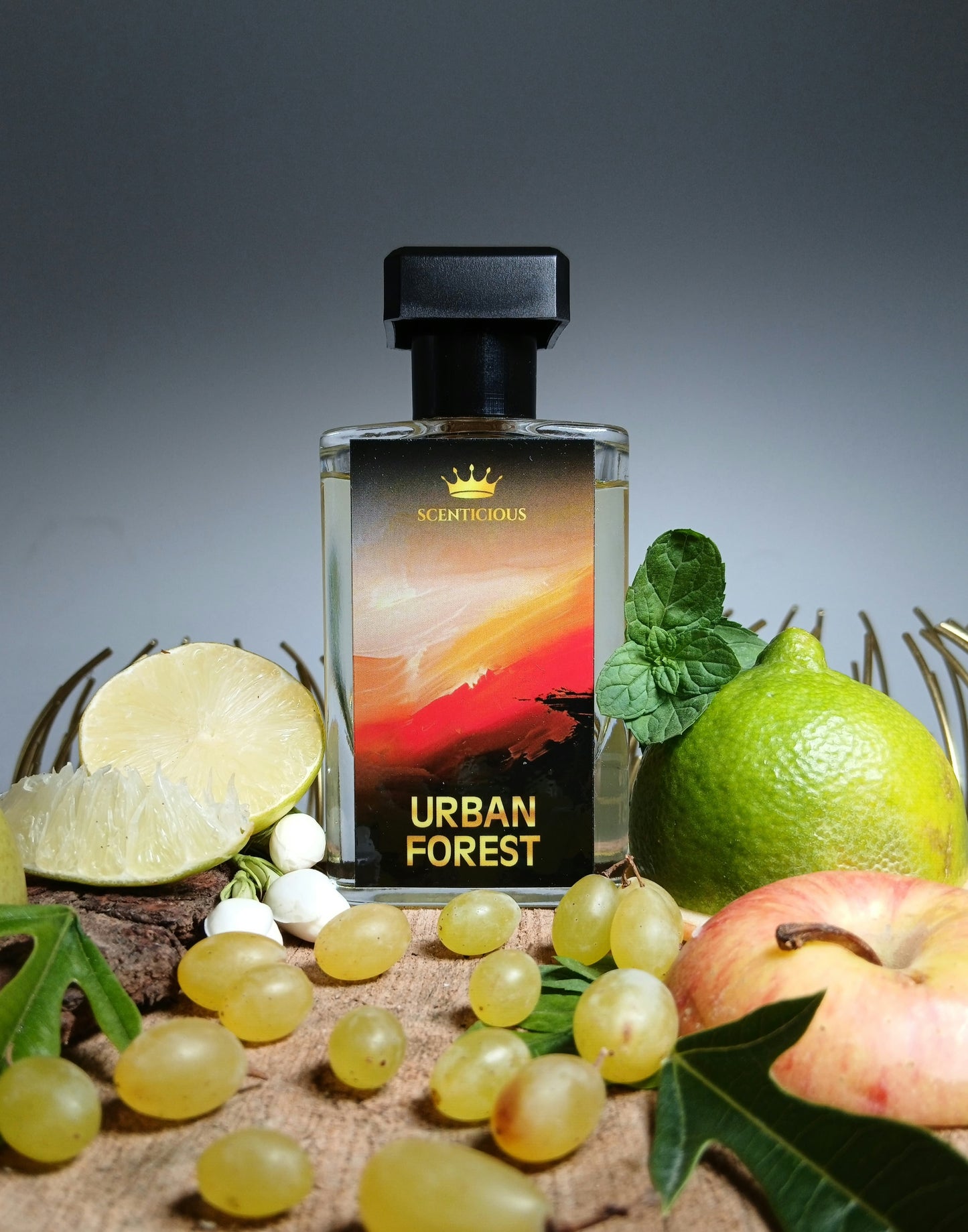 URBAN FOREST