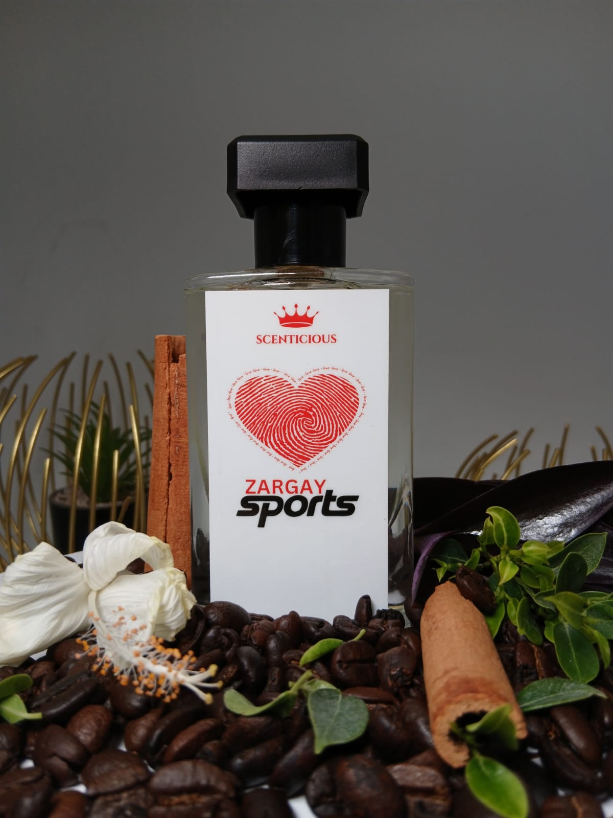 ZARGAY SPORTS
