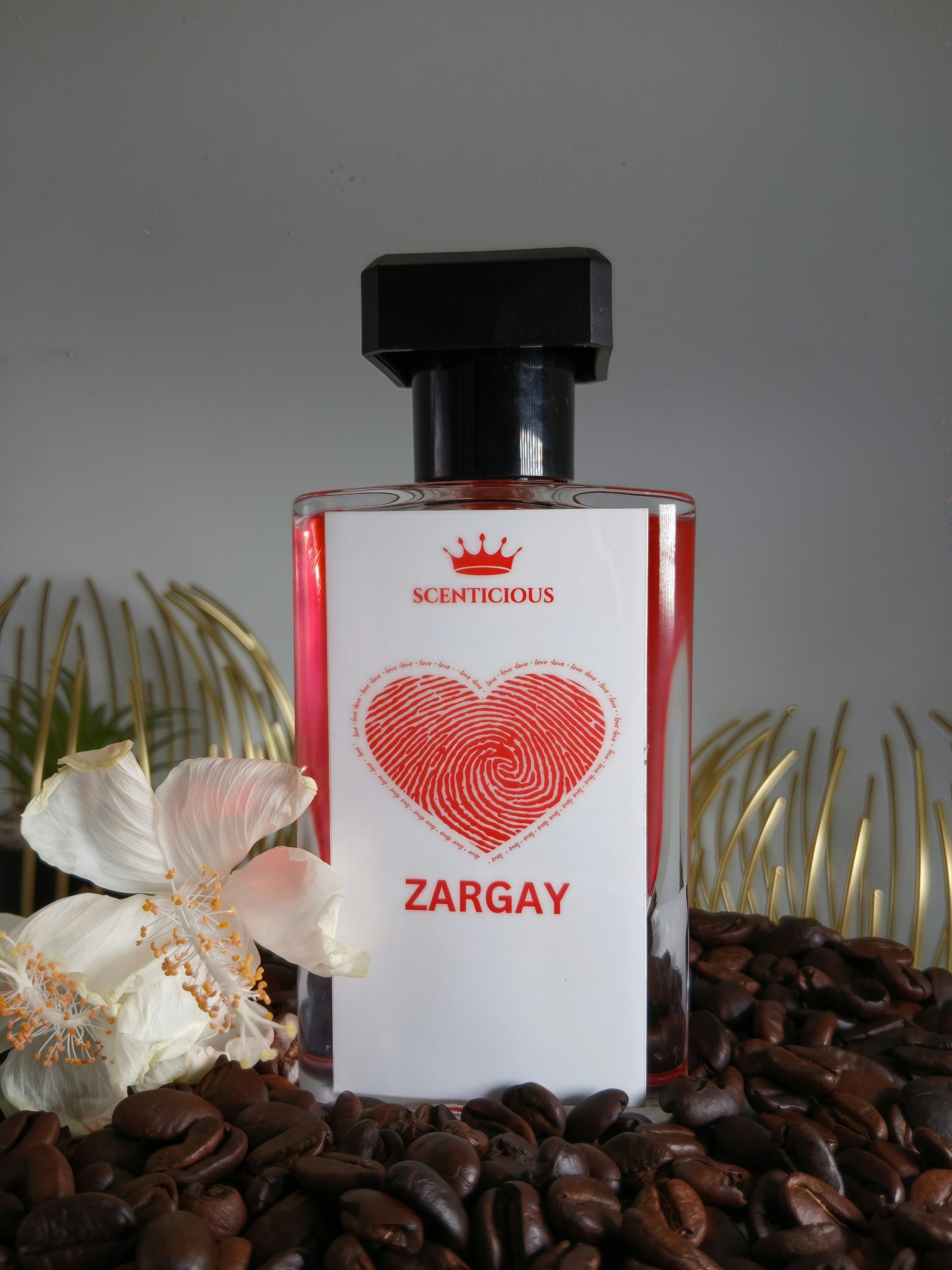 ZARGAY ❤