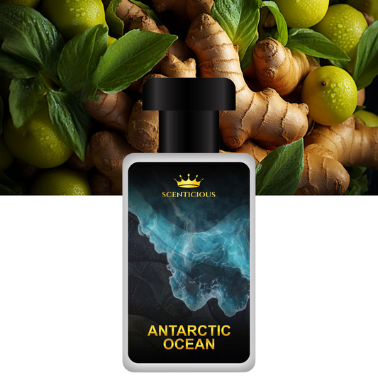 ANTARCTIC OCEAN